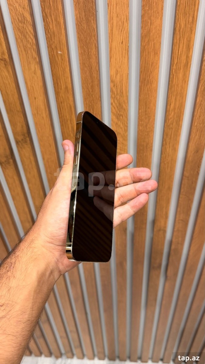 Apple iPhone 13 Pro Max Gold 256GB/6GB