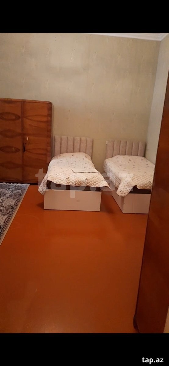 Həyət evi, 28 may m.