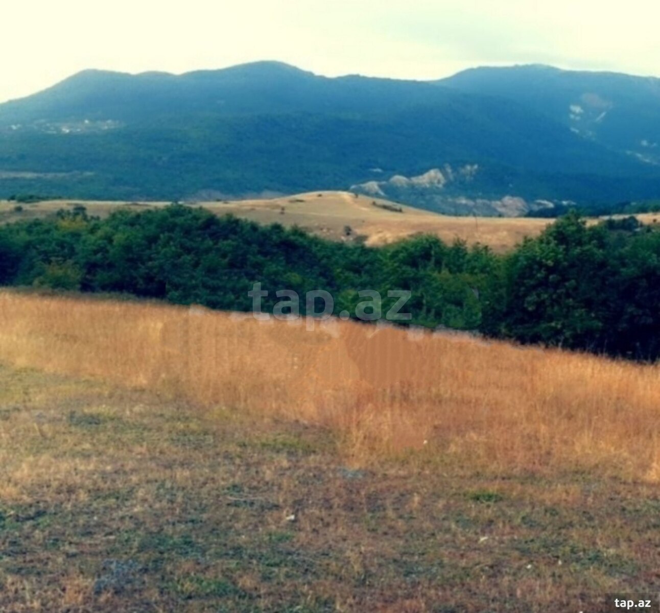 Land for sale, Ismayilli, Ismayilli