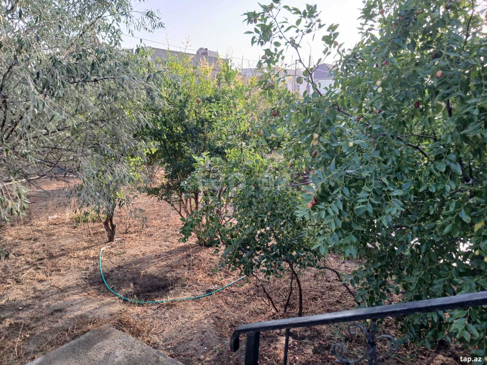 Bağ evi kirayə verilir, Hövsan qəs.