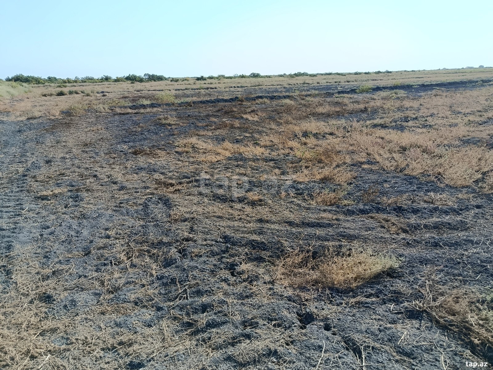 2700 sot torpaq sahəsi, Sabirabad r.