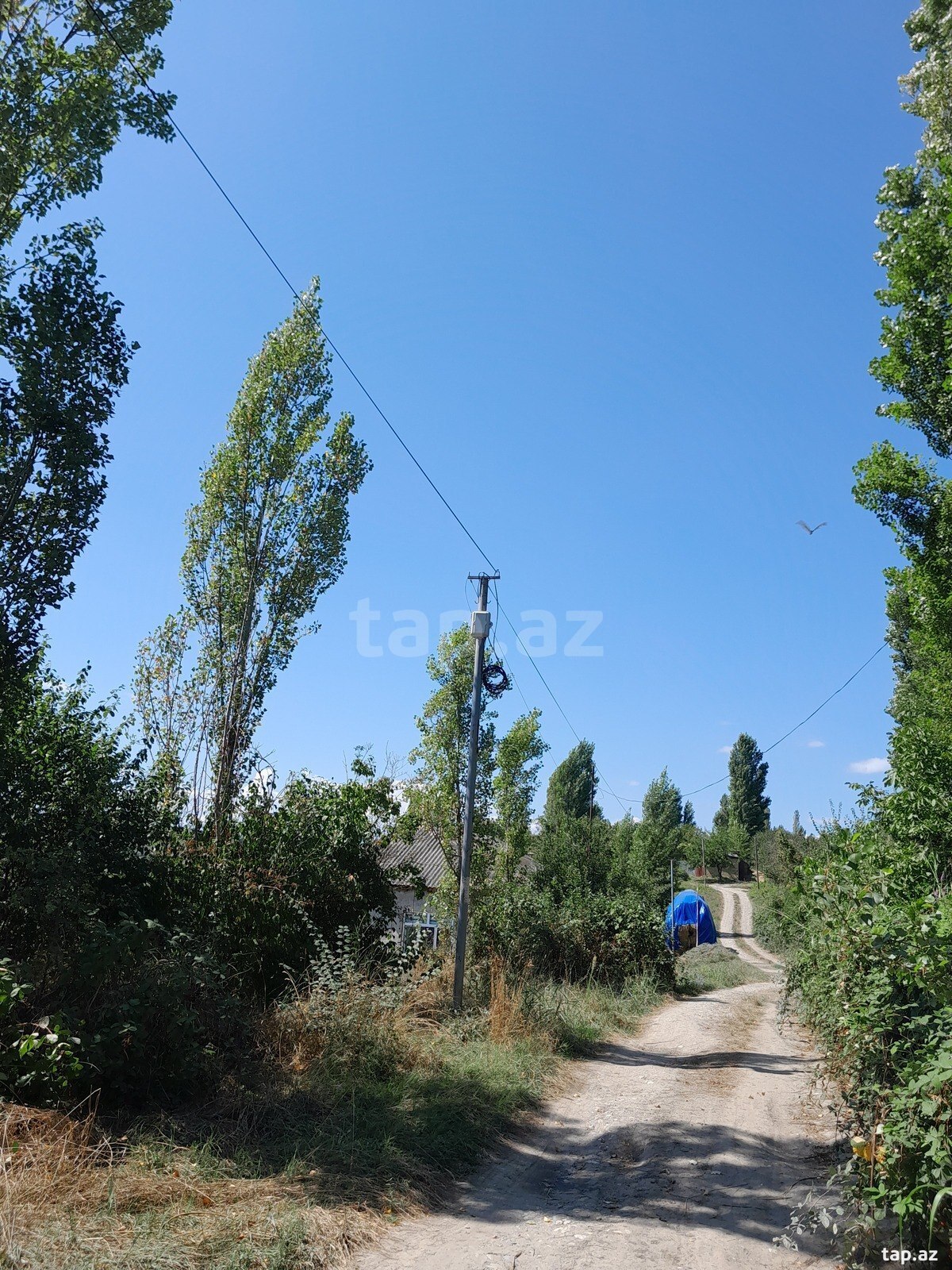 Həyət evi, Quba ş.