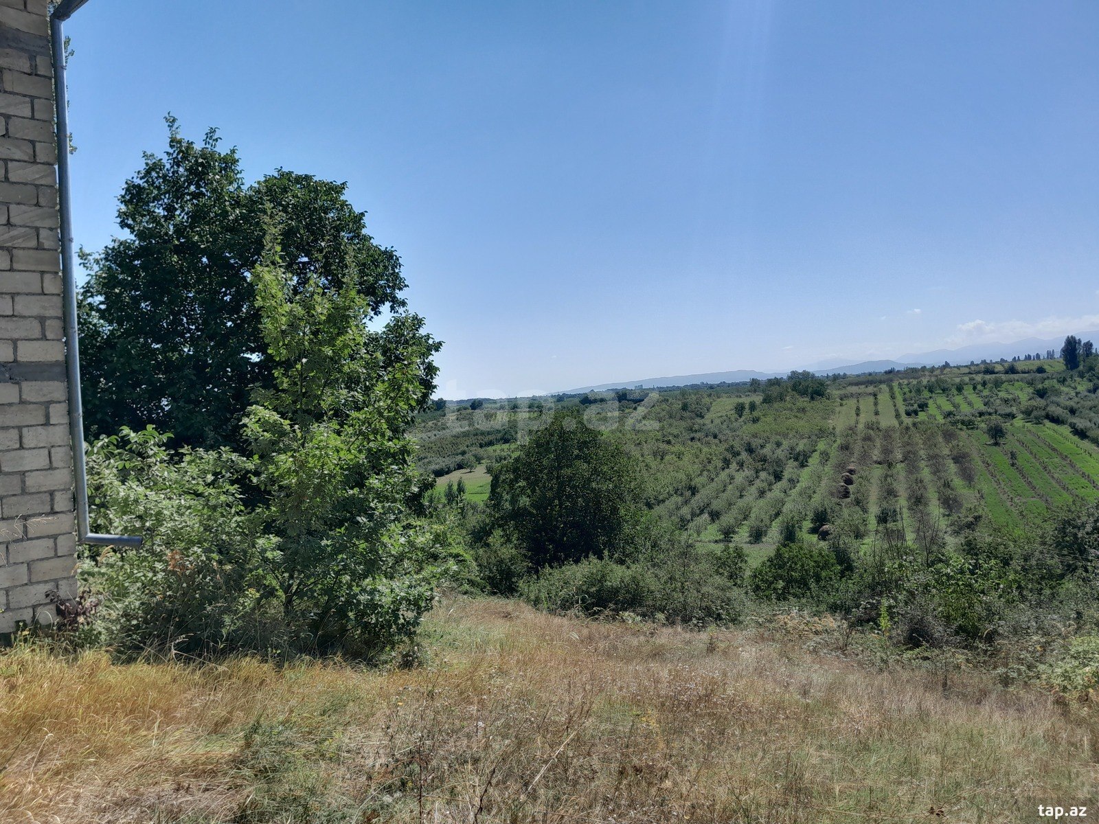 Həyət evi, Quba ş.