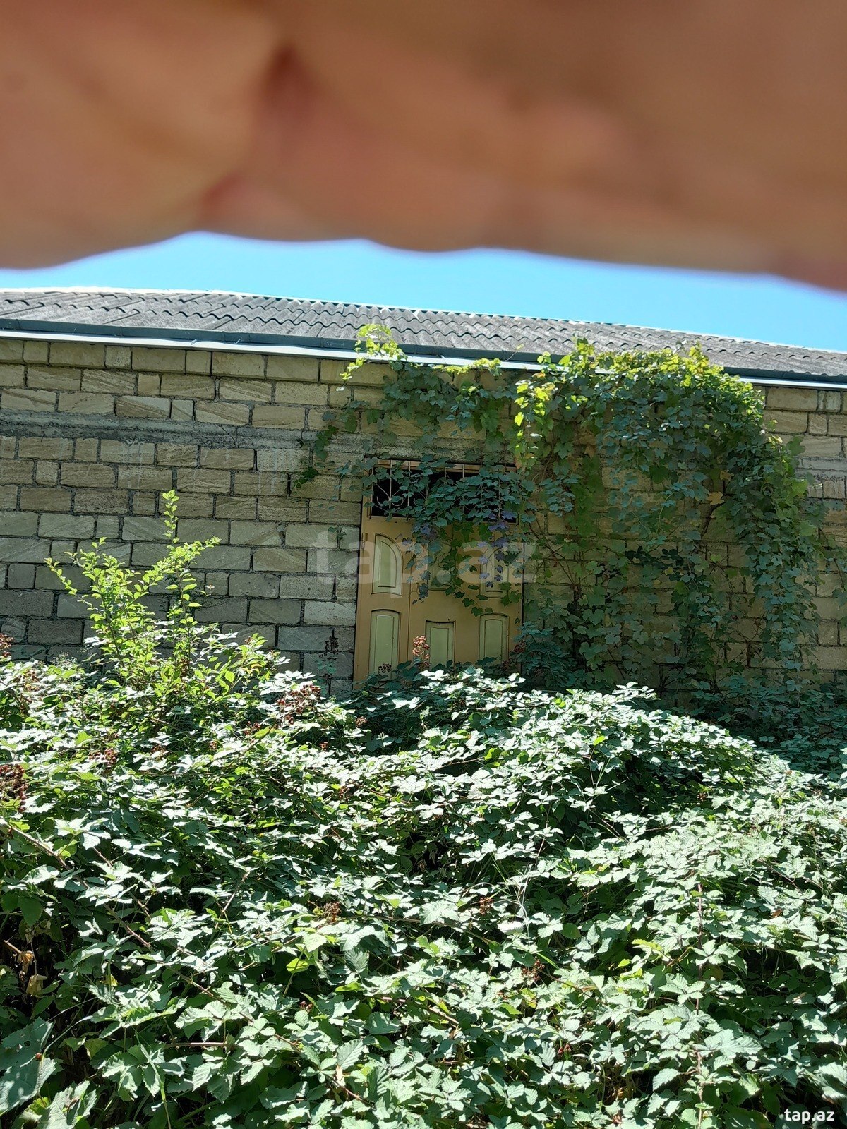 Həyət evi, Quba ş.