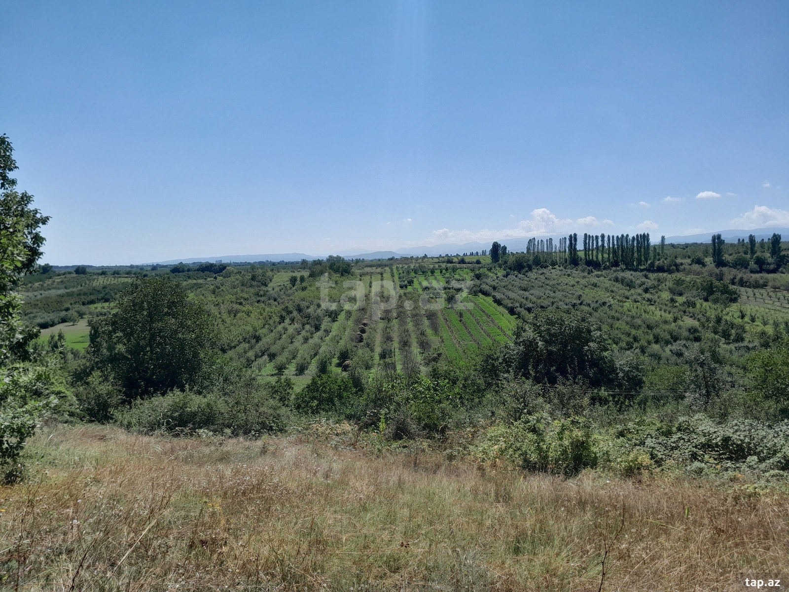 Həyət evi, Quba ş.
