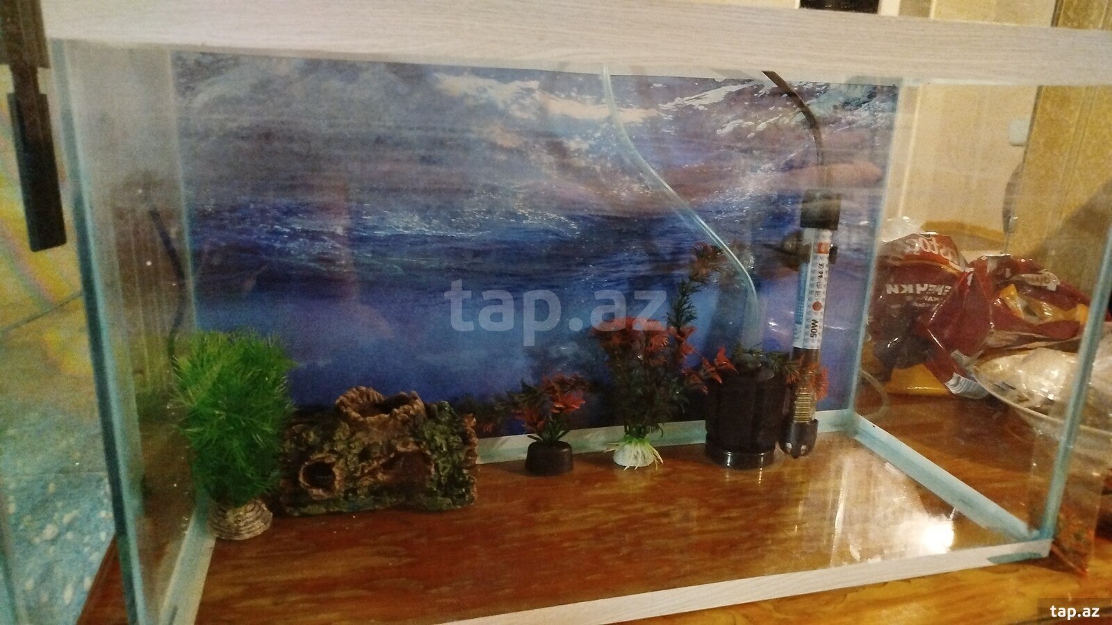 Akvarium