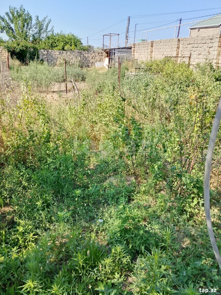 Torpaq satılır, Bakı