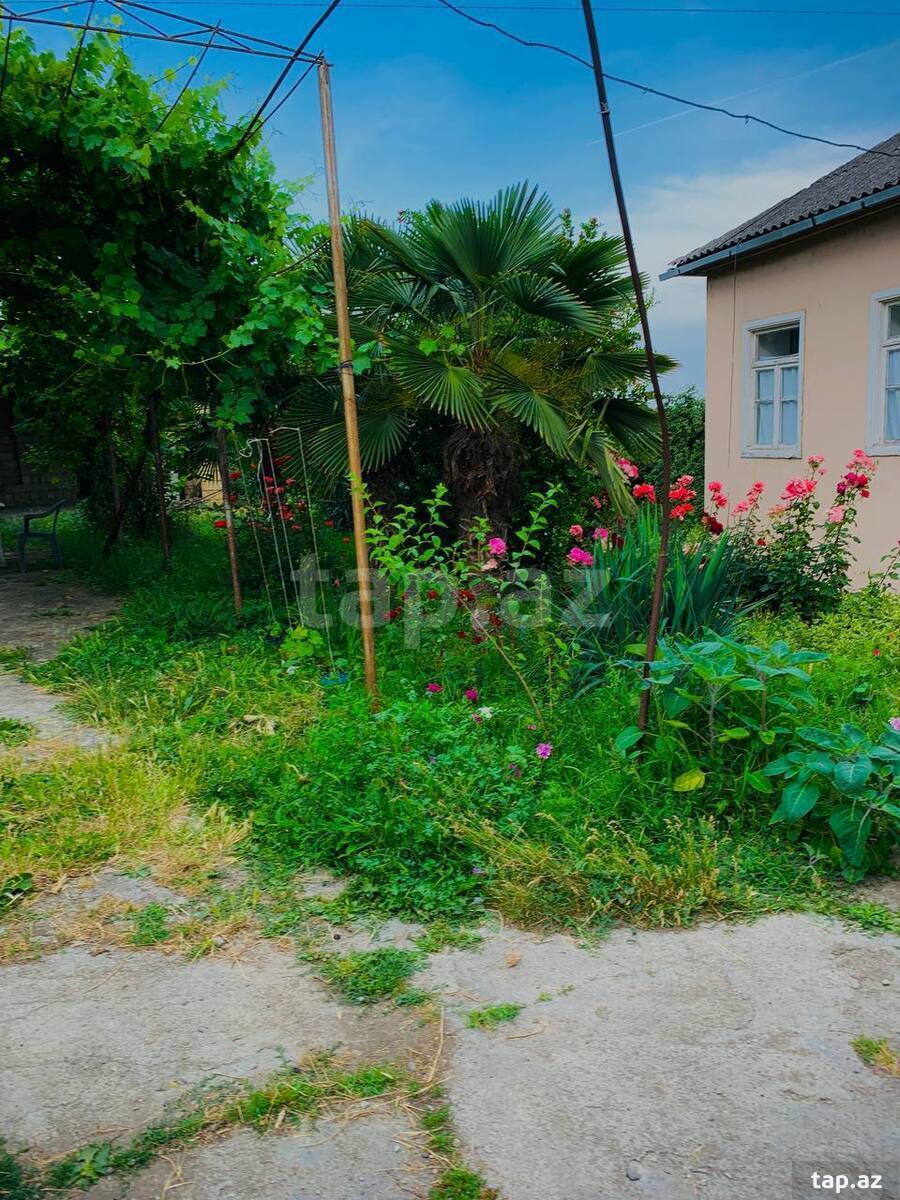Bağ evi, Quba r.