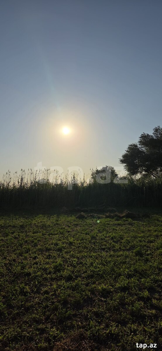 178 sot torpaq sahəsi, Sabirabad r.