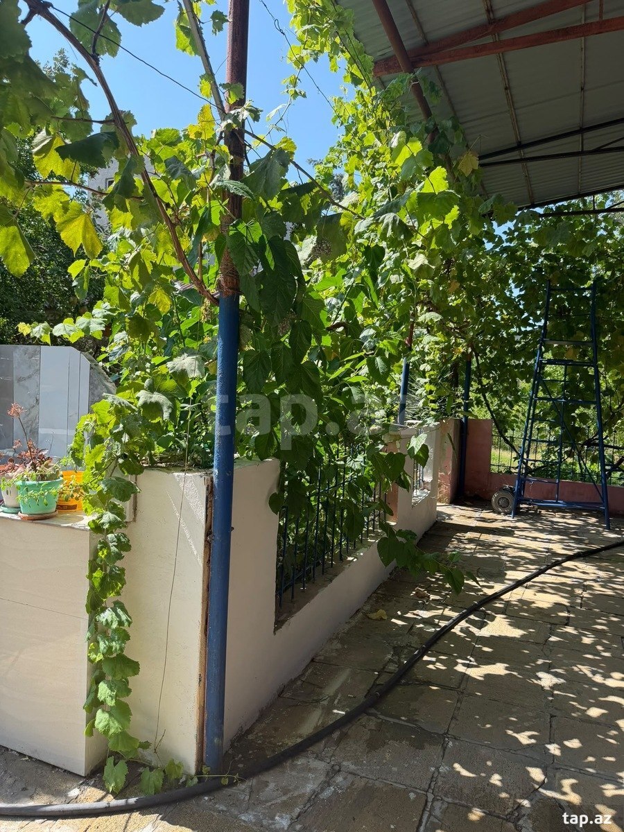 Bağ evi kirayə verilir, Türkan qəs.
