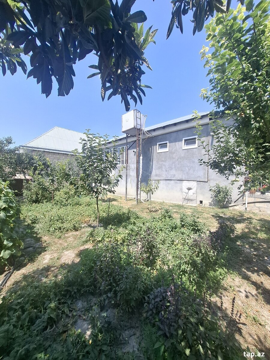 Həyət evi, Şəki ş.