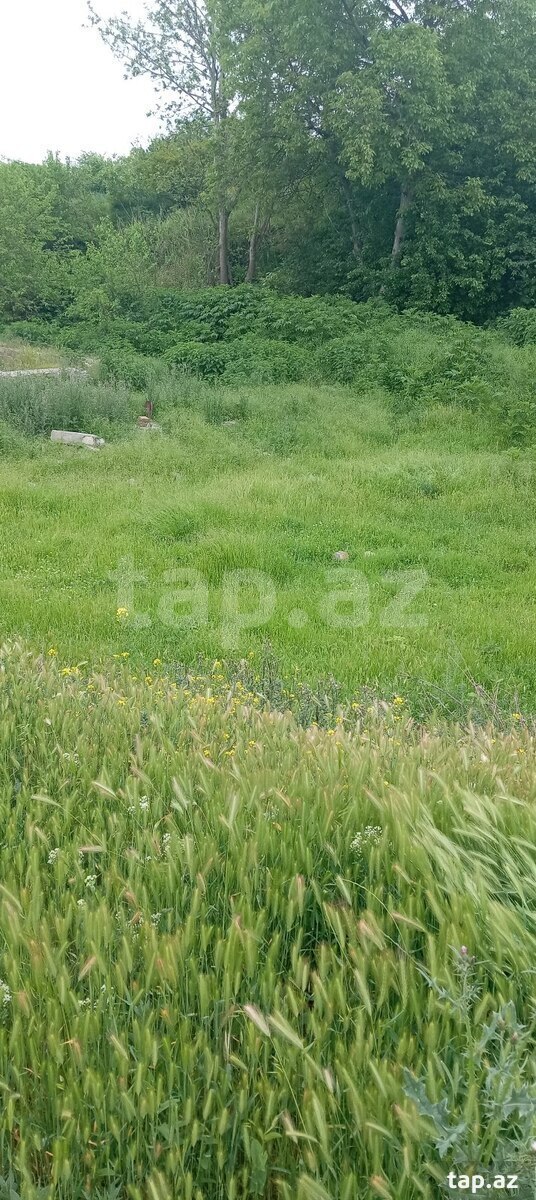8 sot torpaq sahəsi, Qazax r.