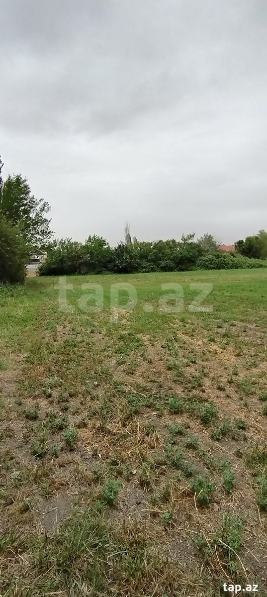 75 sot torpaq sahəsi, Şabran r.
