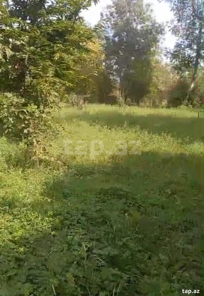 Torpaq satılır, Qəbələ, Qəbələ