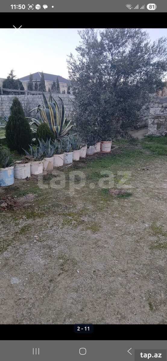 Bağ evi kirayə verilir, Xəzər r.