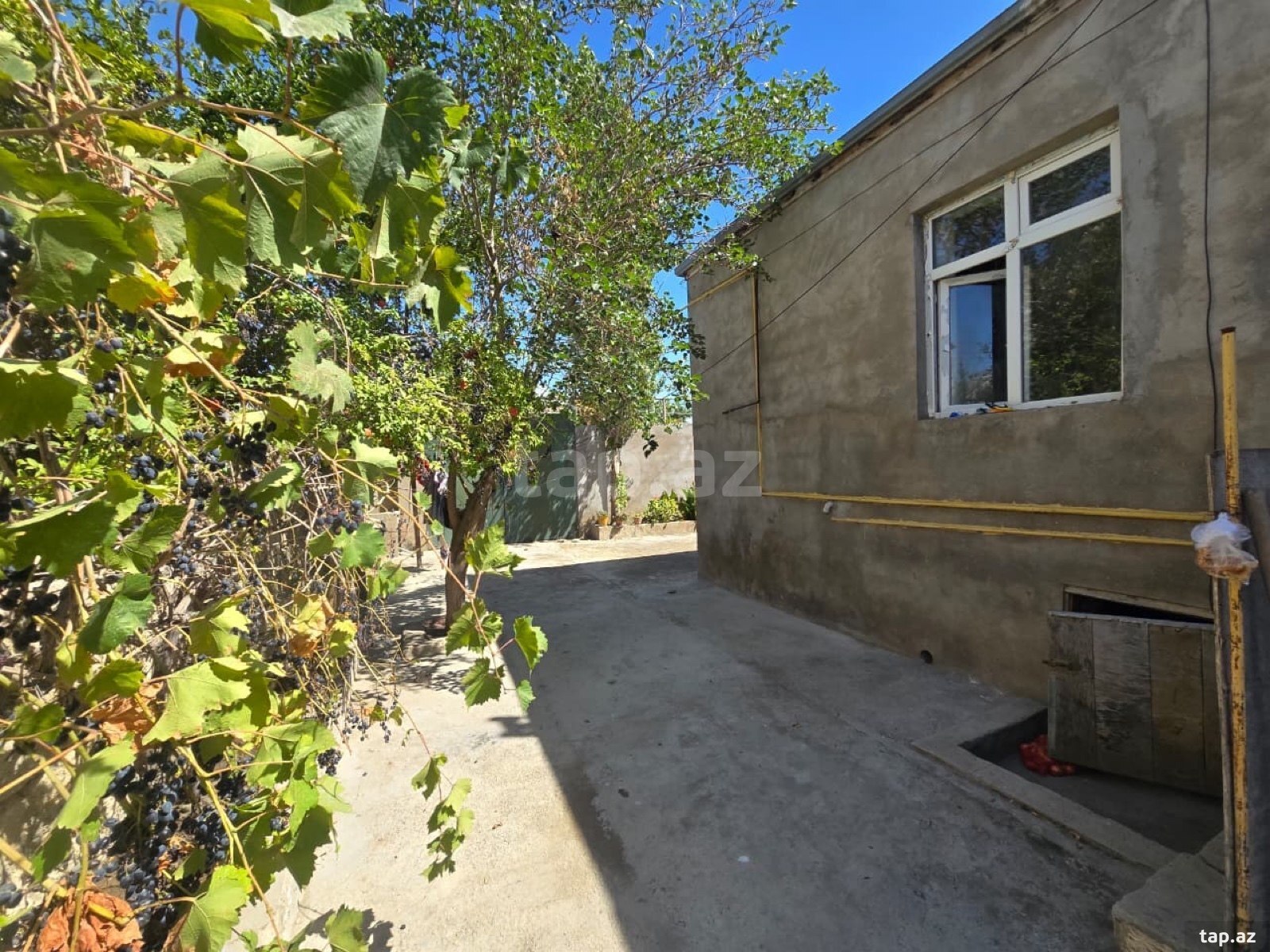 Həyət evi, Binə qəs.