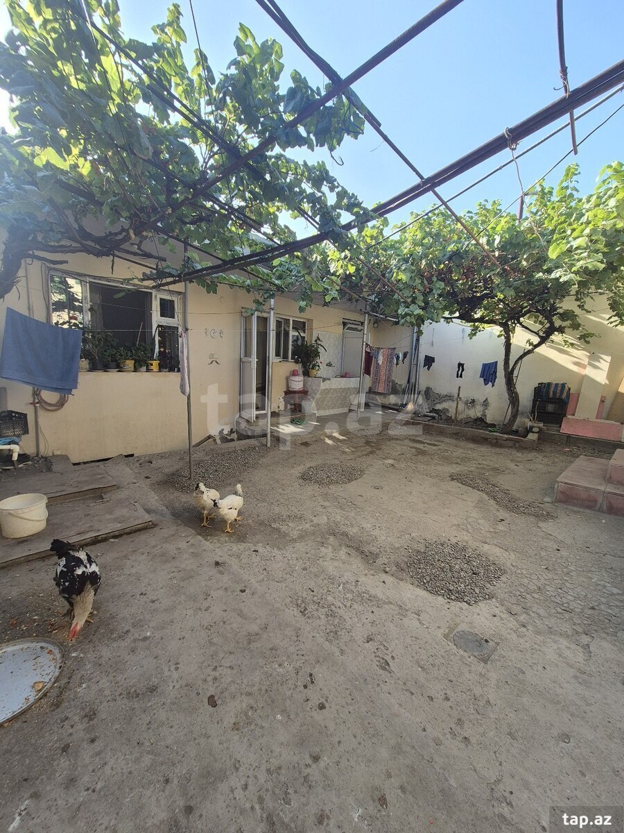 Həyət evi, Gəncə ş.