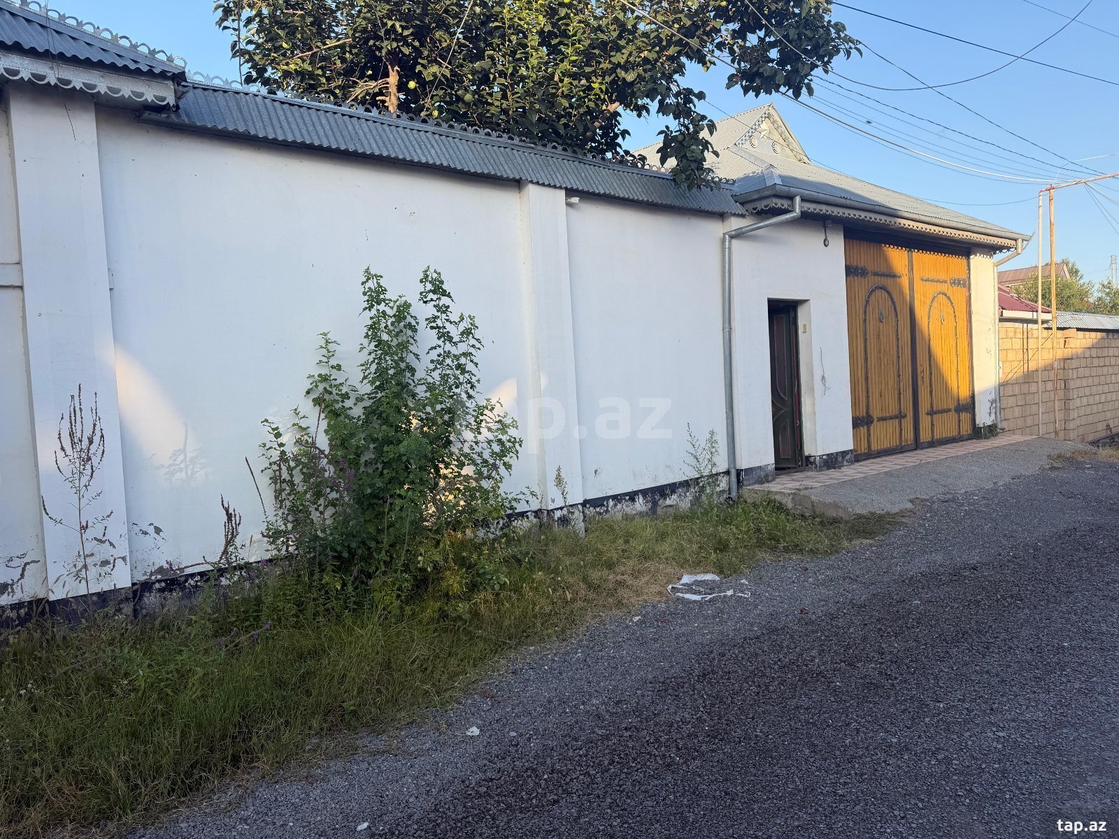 Bağ evi kirayə verilir, Qəbələ ş.