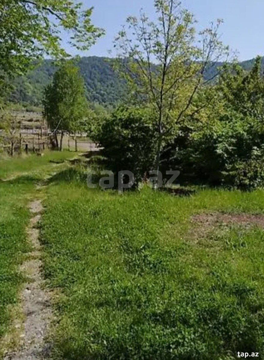 280 sot torpaq sahəsi, Balakən r.