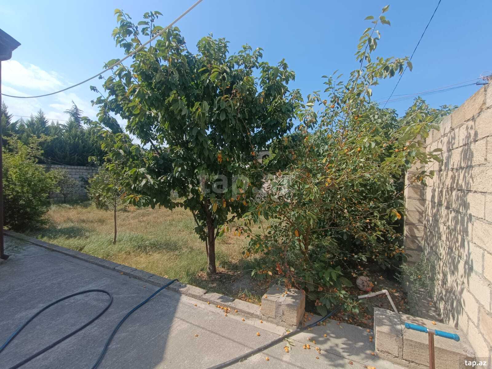 Həyət evi, Siyəzən r.