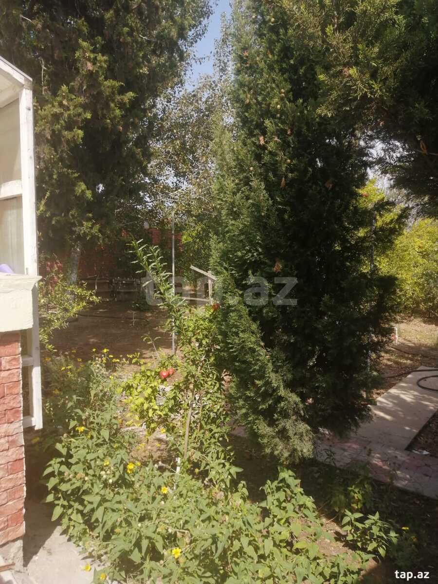 Bağ evi kirayə verilir, Şağan qəs.
