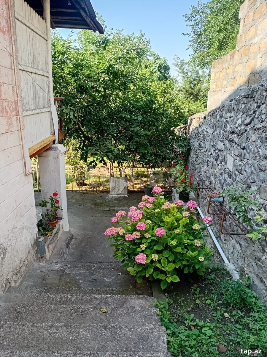 Həyət evi, Şəki ş.