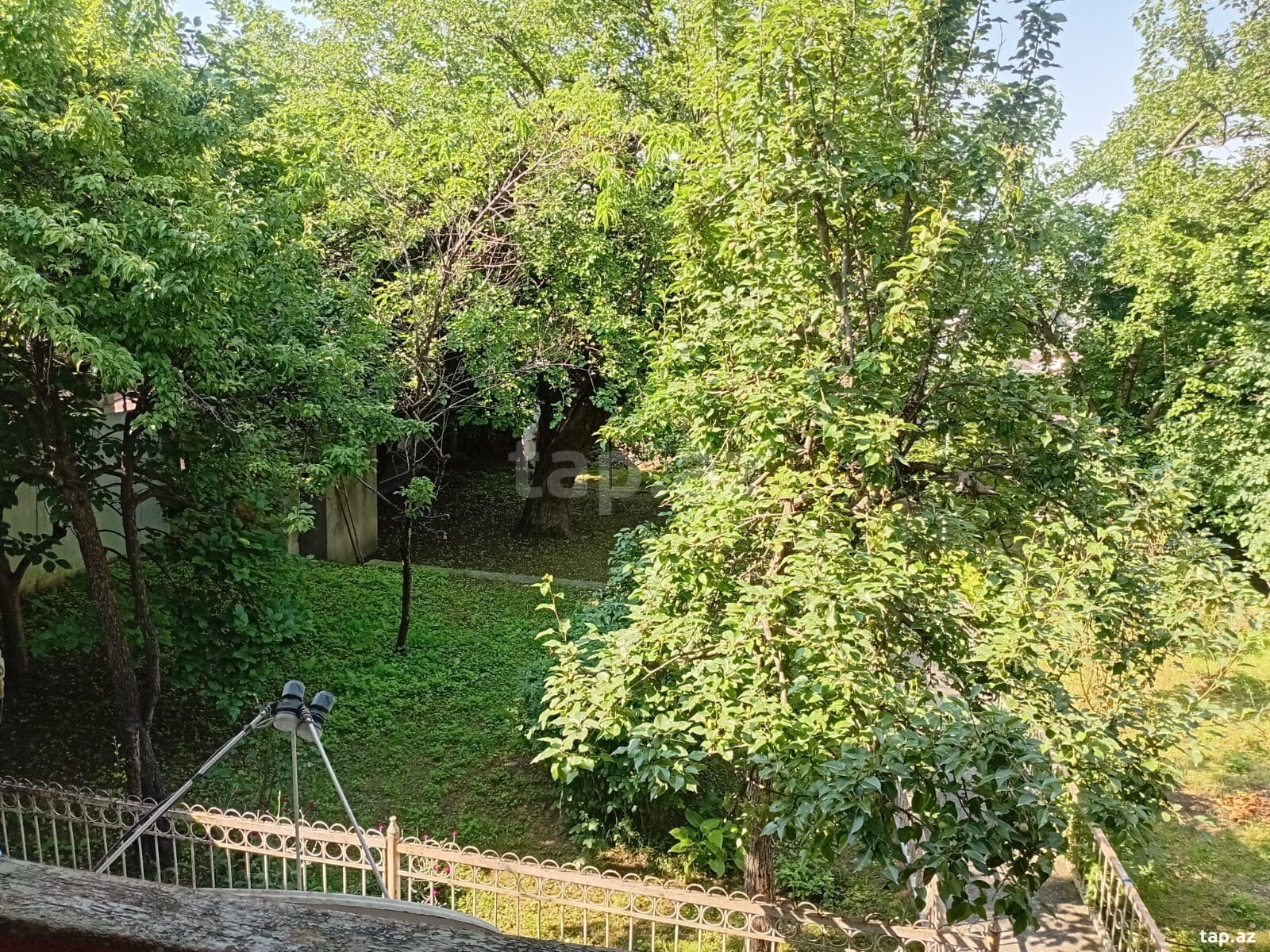 Həyət evi, Şəki ş.