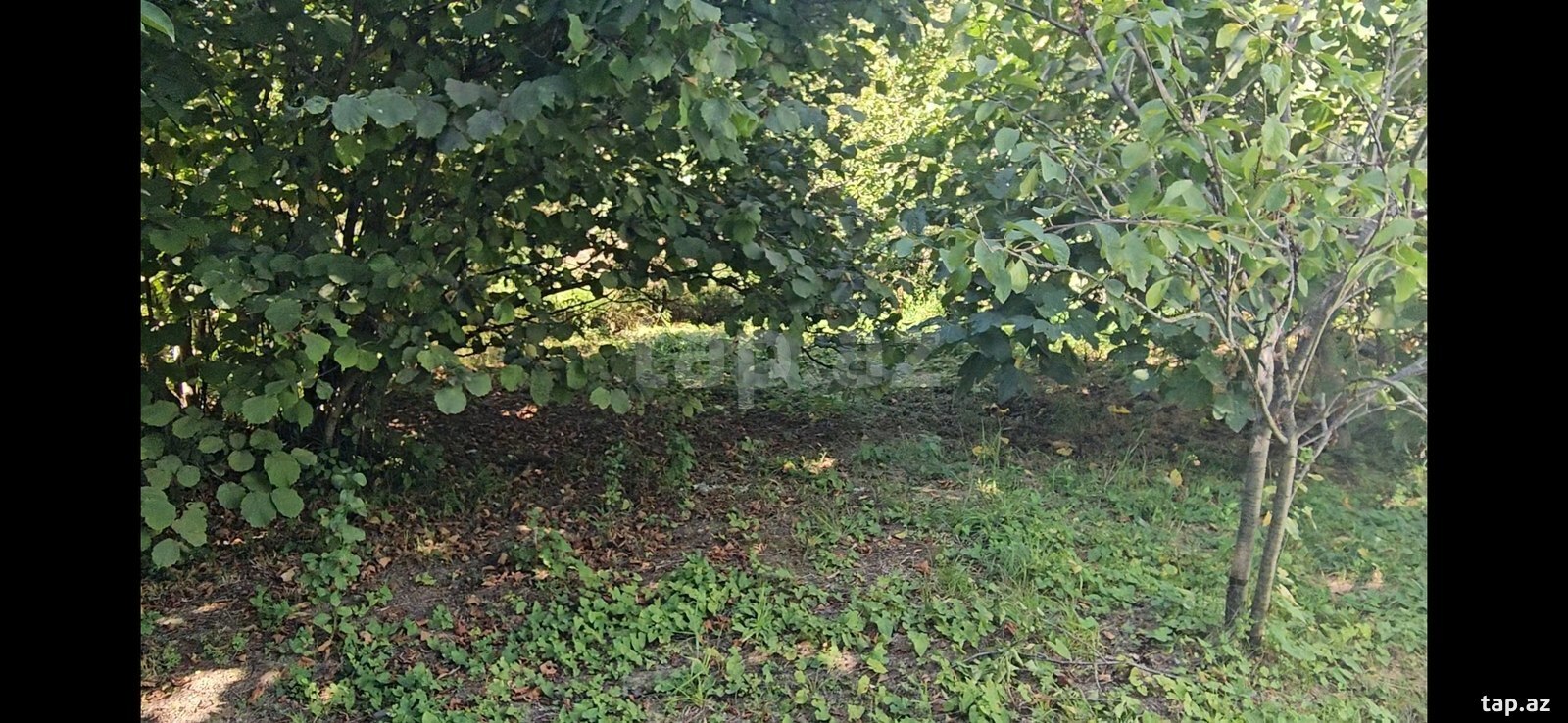 Bağ evi, Nabran r.
