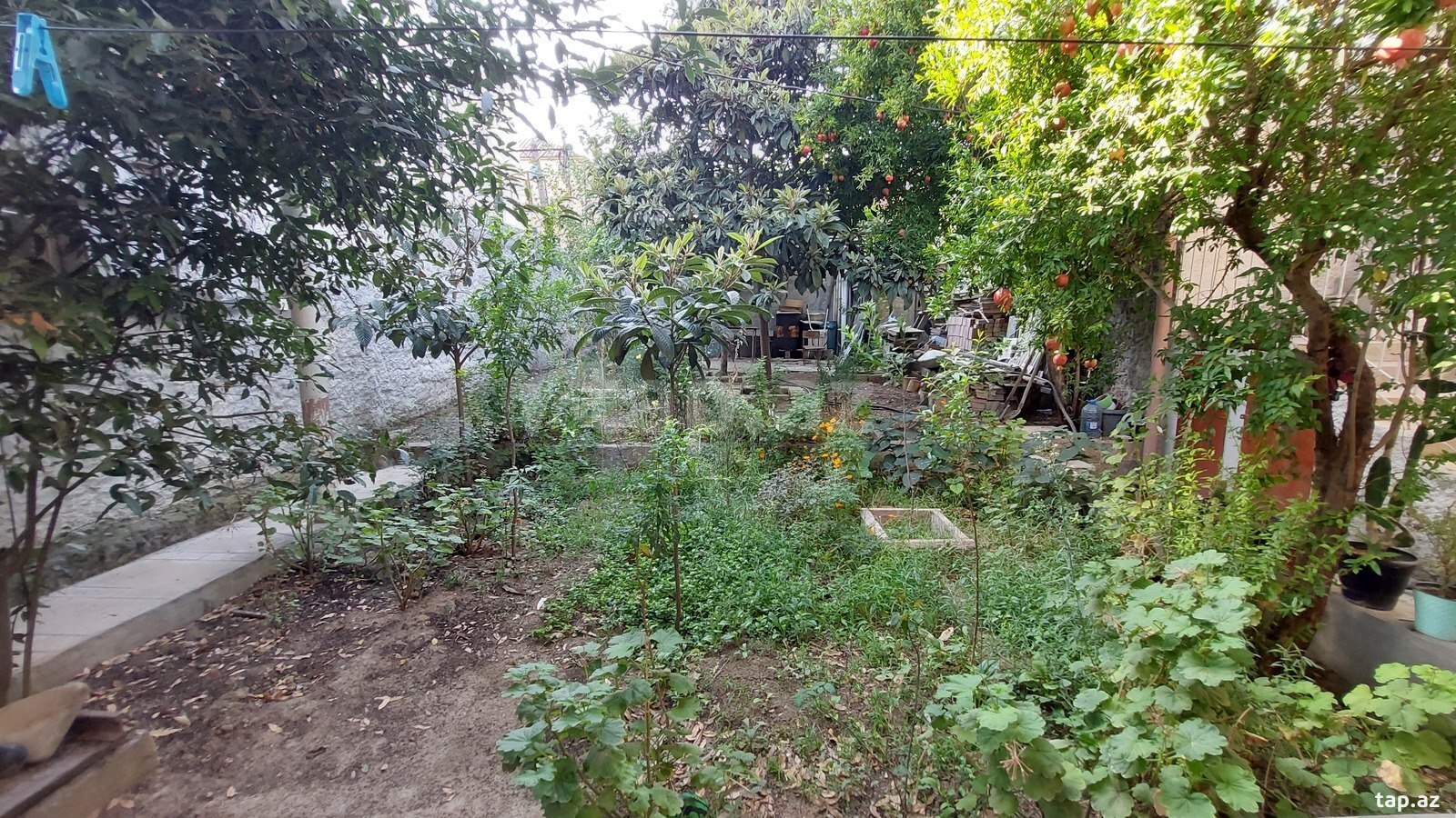 Həyət evi kirayə verilir, Badamdar qəs.