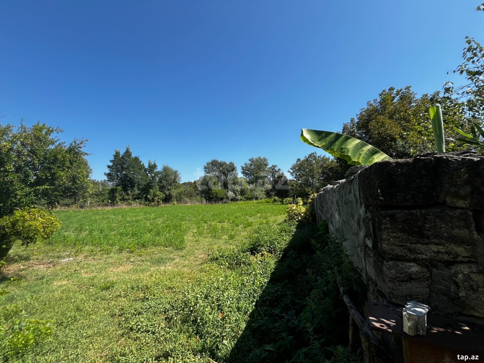Bağ evi, Oğuz r.
