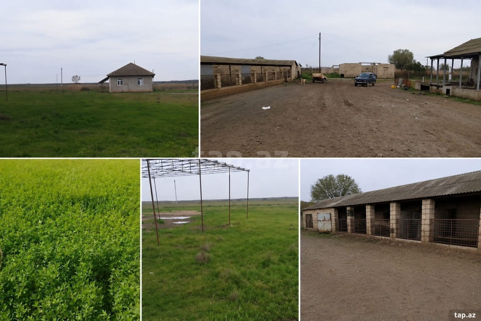 Həyət evi, Salyan r.