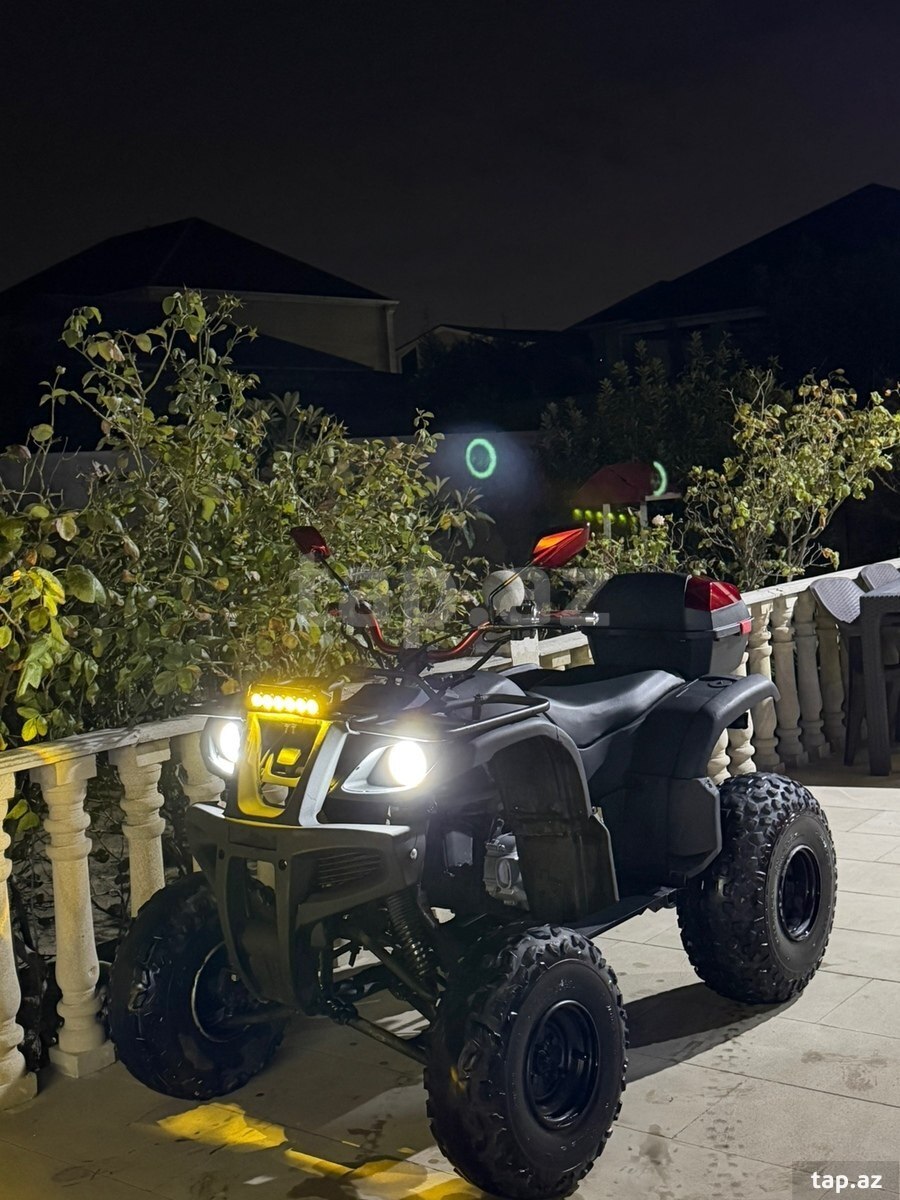 Kvadrosikl ATV, 2019 il