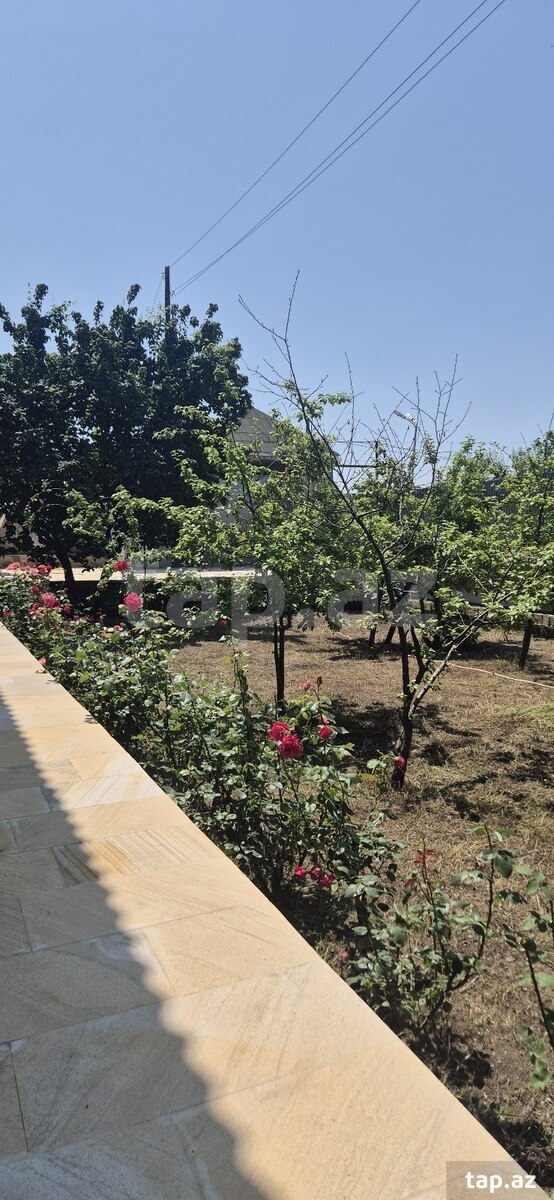 Həyət evi kirayə verilir, İsmayıllı r.