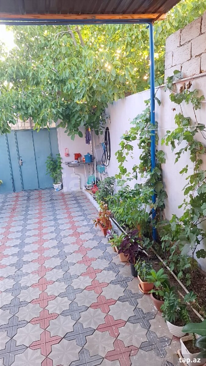 Həyət evi, Masazır qəs.