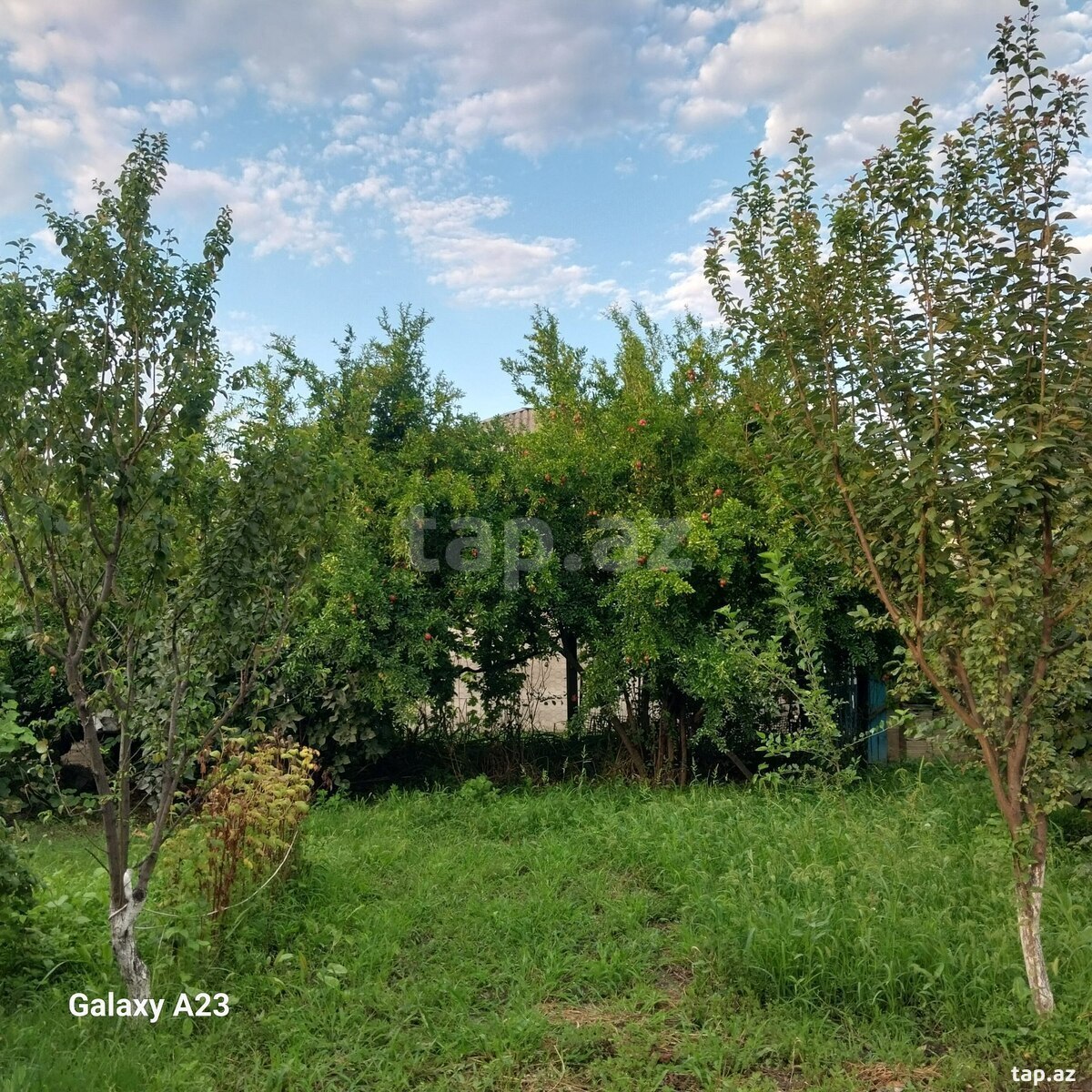 Həyət evi, Quba r.