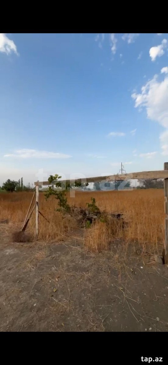 Həyət evi, Səfikürd kəndi