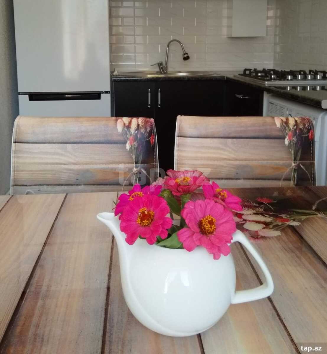 1-otaqlı yeni tikili kirayə verilir, Qusar r., 30 m²