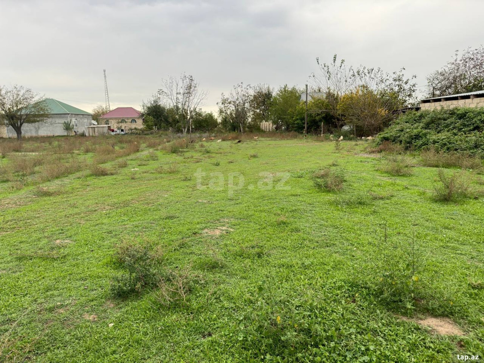50 sot torpaq sahəsi, Ağcabədi r.