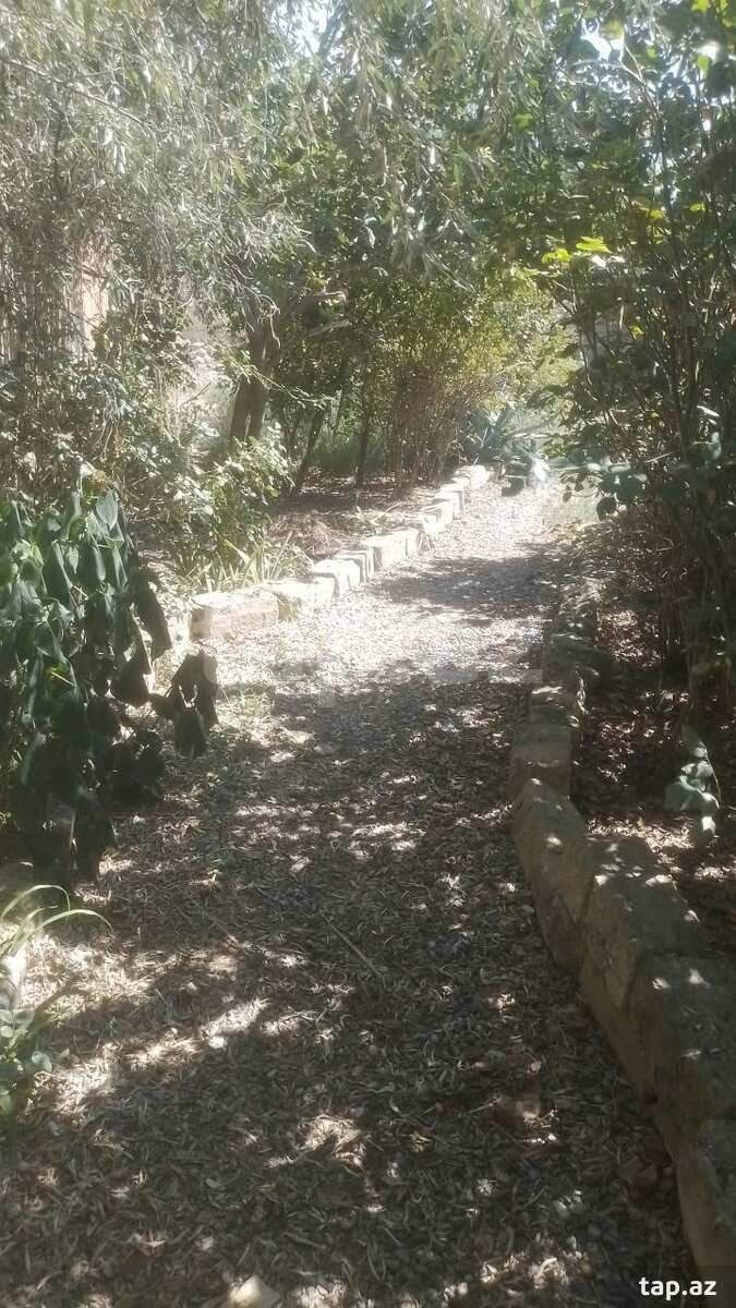 Həyət evi, Sabunçu ray.