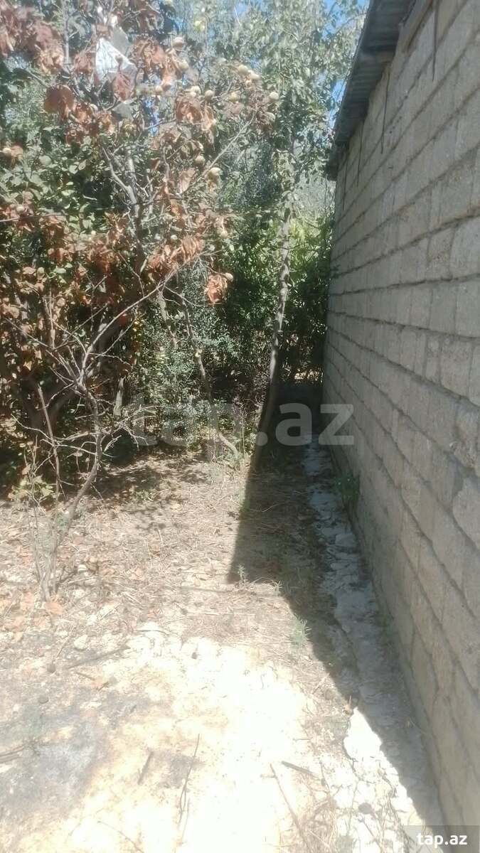 Həyət evi, Sabunçu ray.