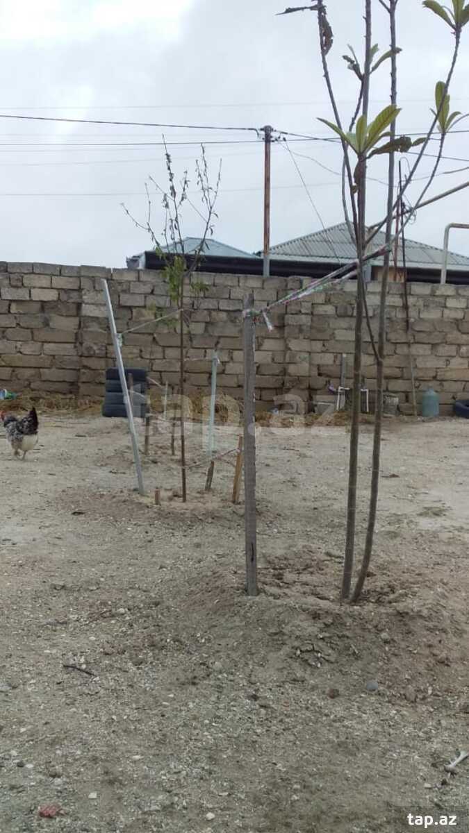 Həyət evi kirayə verilir, Hövsan qəs.