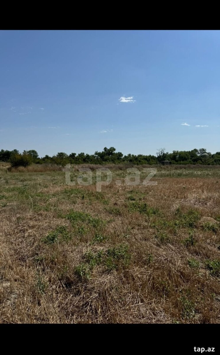 260 sot torpaq sahəsi, Xaçmaz r.