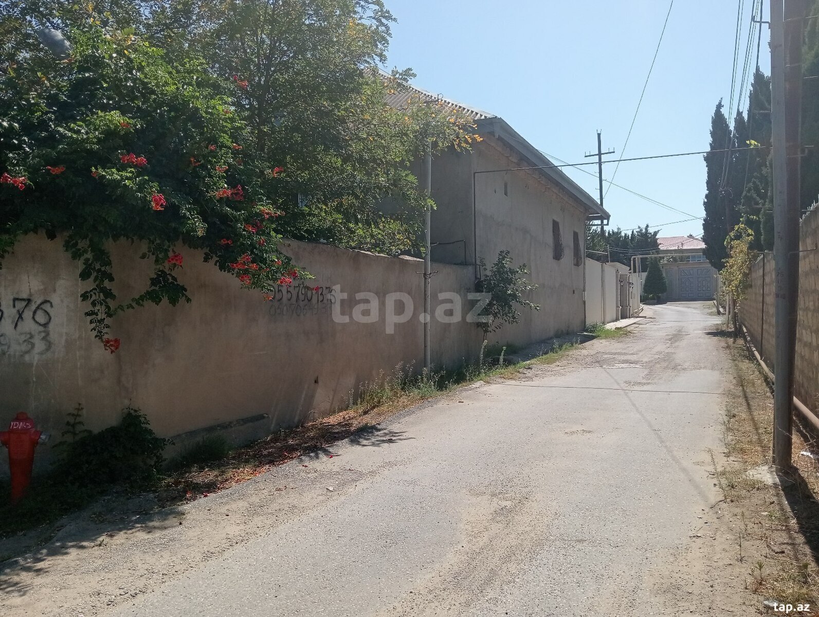 Bağ evi, Novxanı qəs.