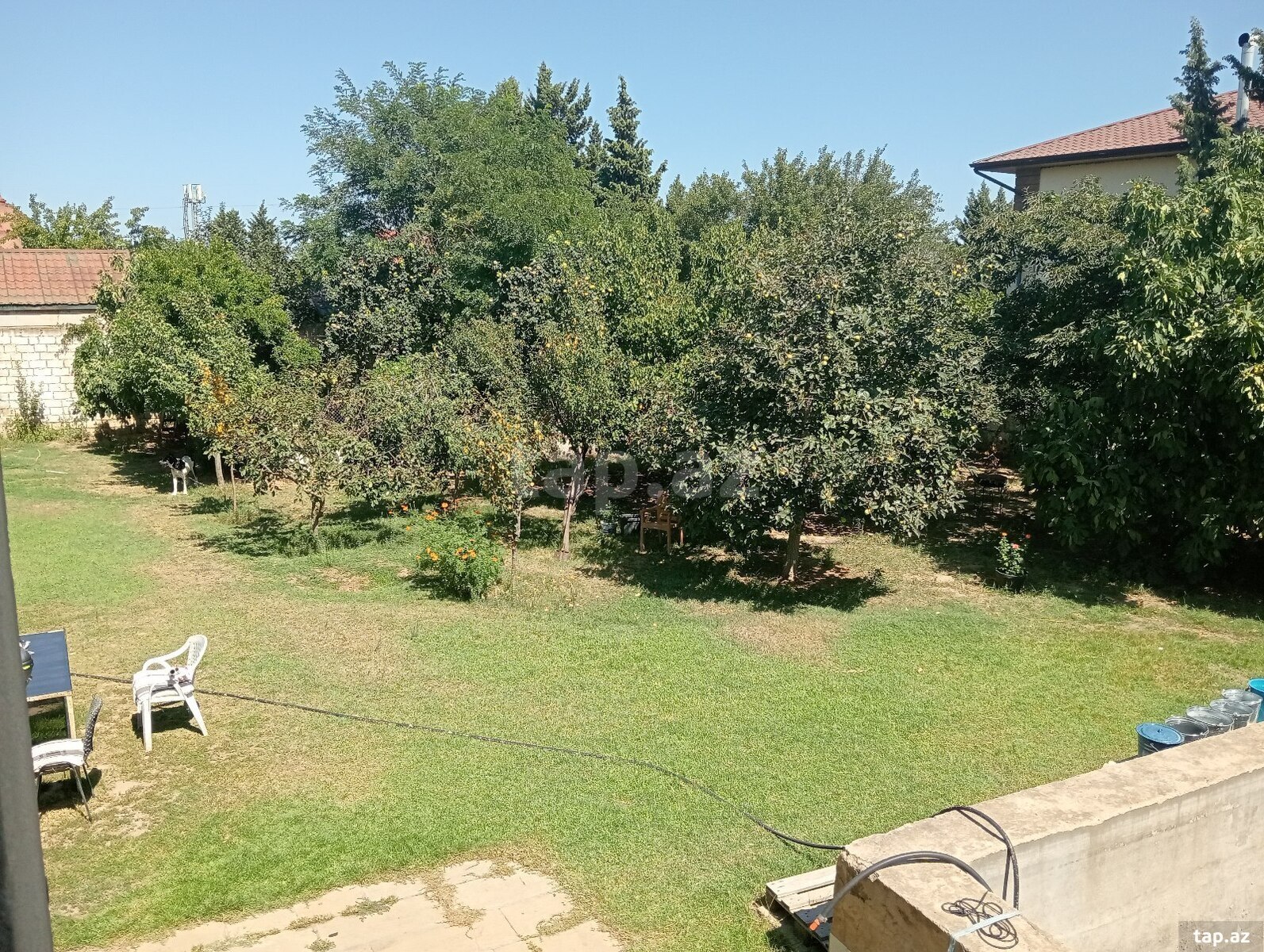 Bağ evi, Novxanı qəs.