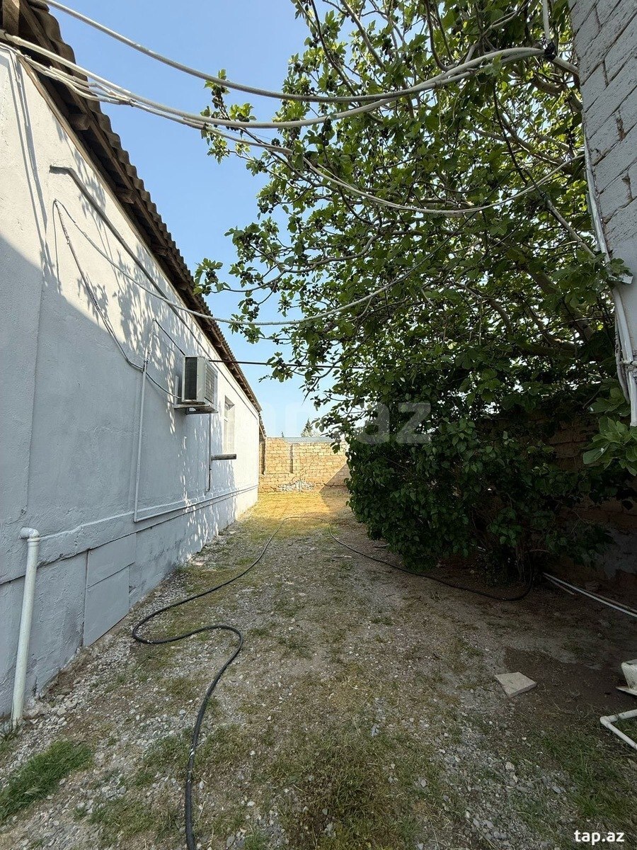 Bağ evi kirayə verilir, Buzovna qəs.