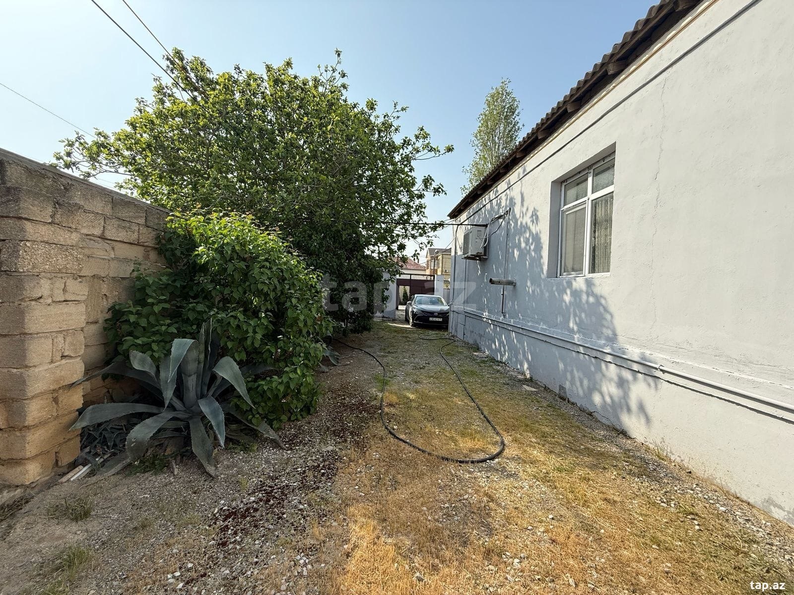 Bağ evi kirayə verilir, Buzovna qəs.