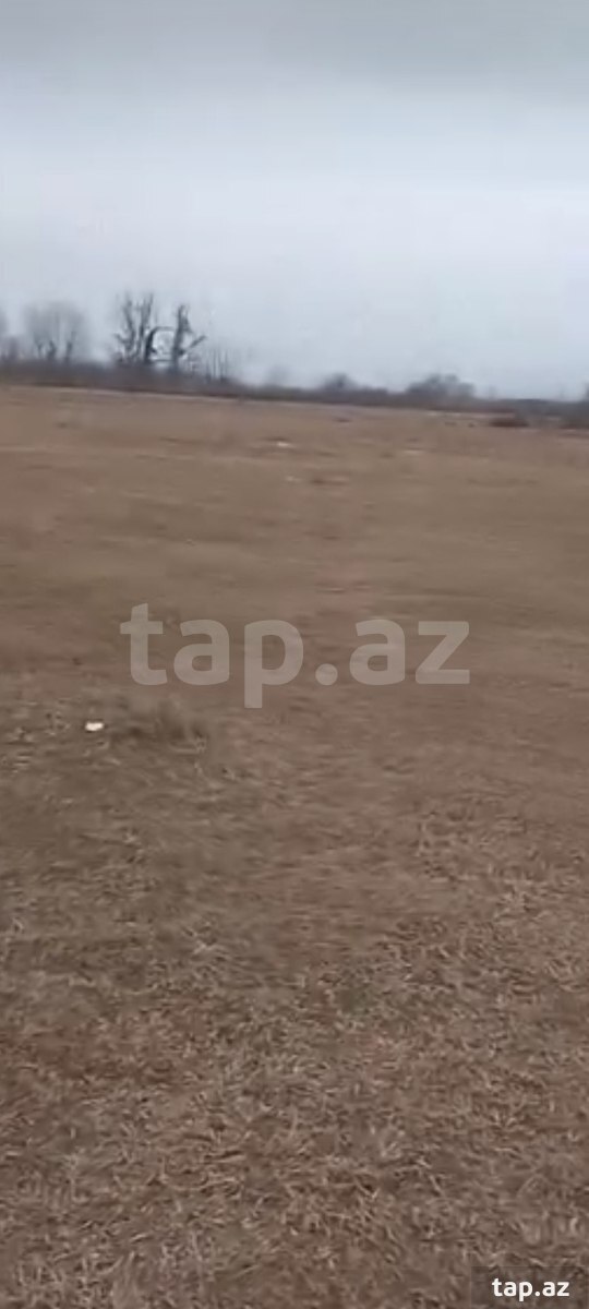 6 sot torpaq sahəsi, Şəki ş.