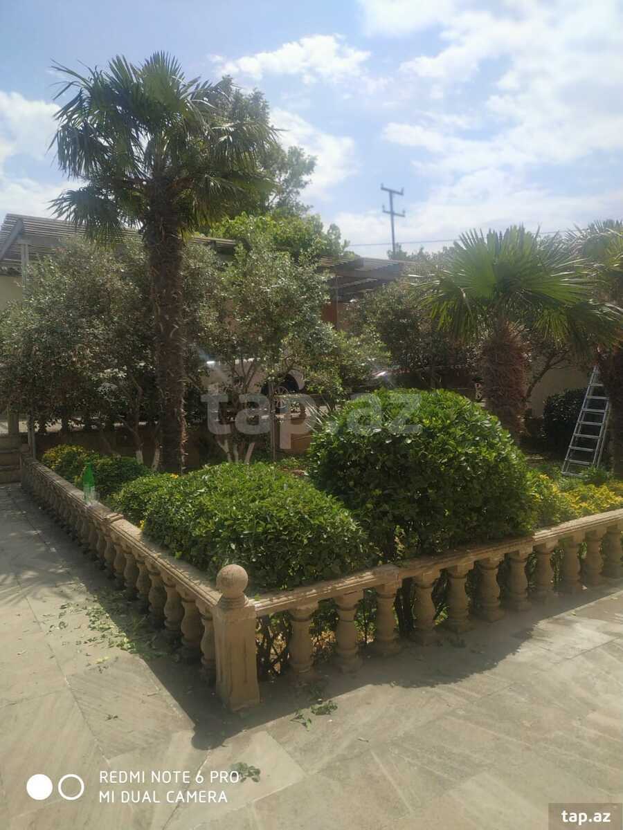 Bağ evi kirayə verilir, Novxanı qəs.