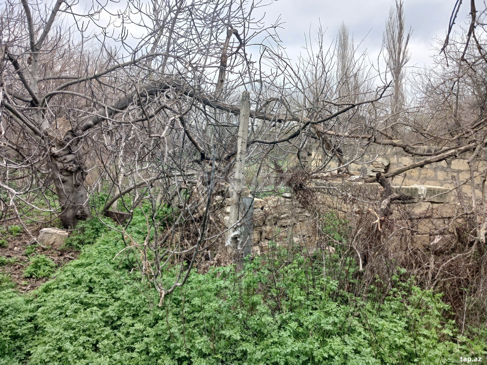 Həyət evi, Dəyirmanlar k.