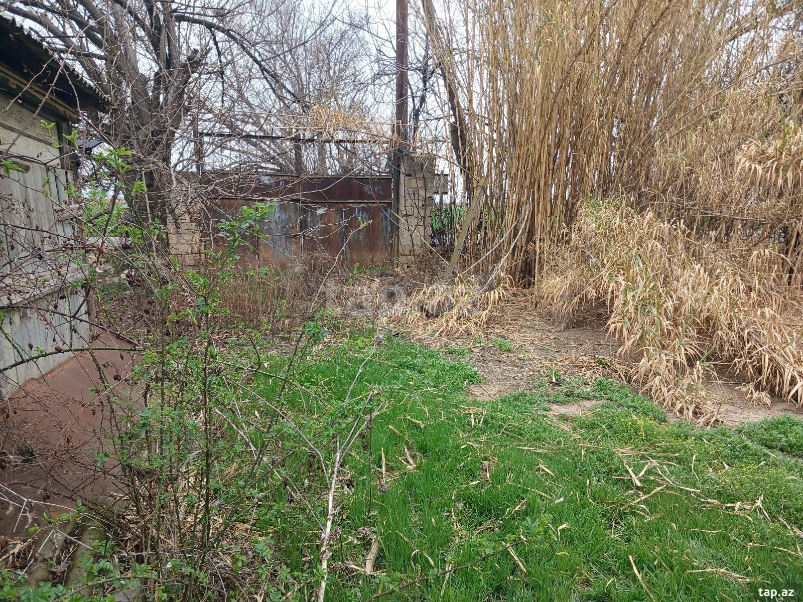 Həyət evi, Dəyirmanlar k.